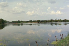 Hasenjagd-Dalmand-Ente-Stockente-Reh-Wasserwild-Fasan-Kleinwild-Wald-Vadaszat