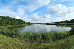 Jagd-Dalmand-Ente-Stockente-Reh-Hirsch-Wasserwild-Fasan-Kleinwild-Wald-Vadaszat