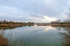 Waldjagd-Dalmand-Ente-Stockente-Reh-Hirsch-Wasserwild-Fasan-Kleinwild