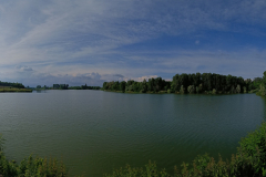 hunting-dalmand-duck-mallard-roe-deeer-water-game-pheasant-small-game-forest-vadaszat